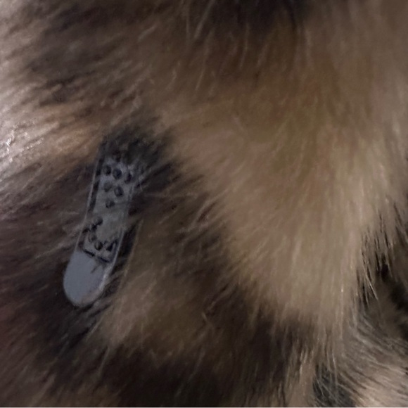 Leopard Print 2-3X Faux Fur Jacket with Black Collar - Picture 4 of 15